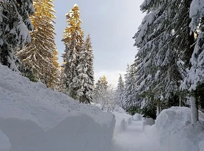Lägenhet Natura E Comfort Danta
