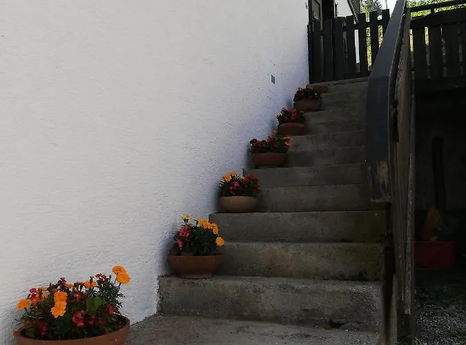 Natura E Comfort Danta